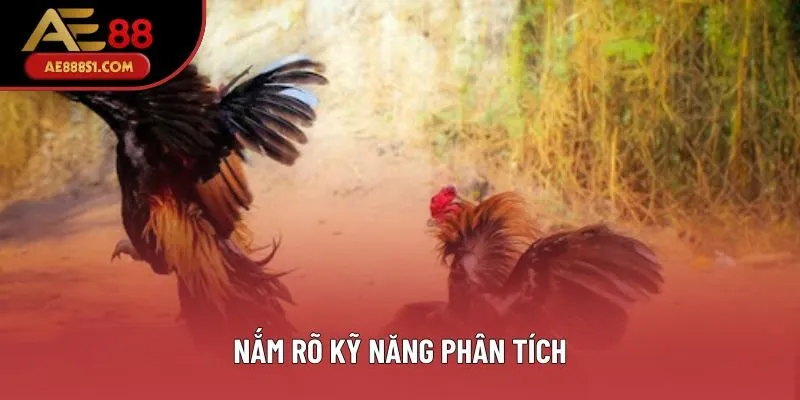 Nắm rõ kỹ năng phân tích