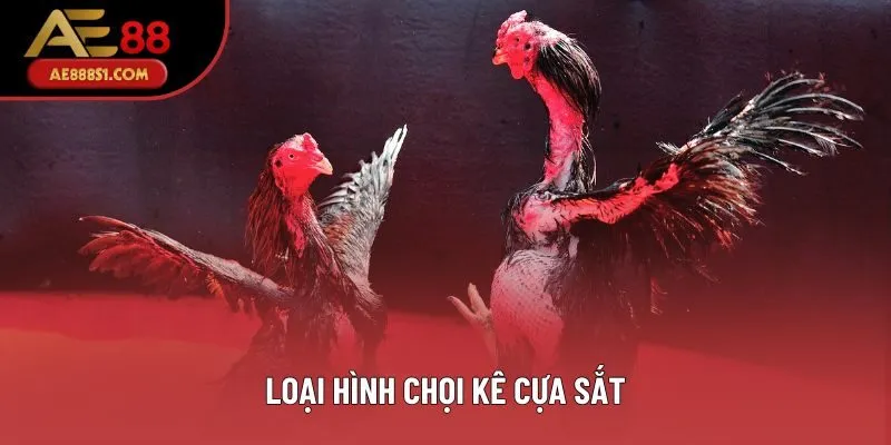 Loại hình chọi kê cựa sắt