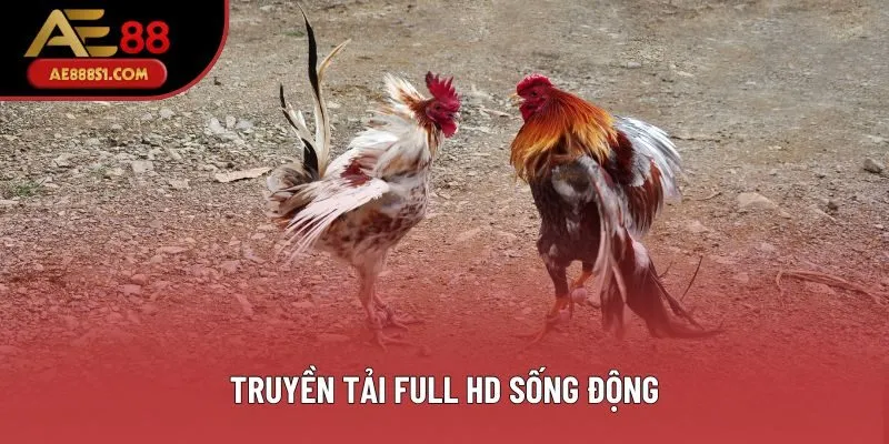 Truyền tải Full HD sống động