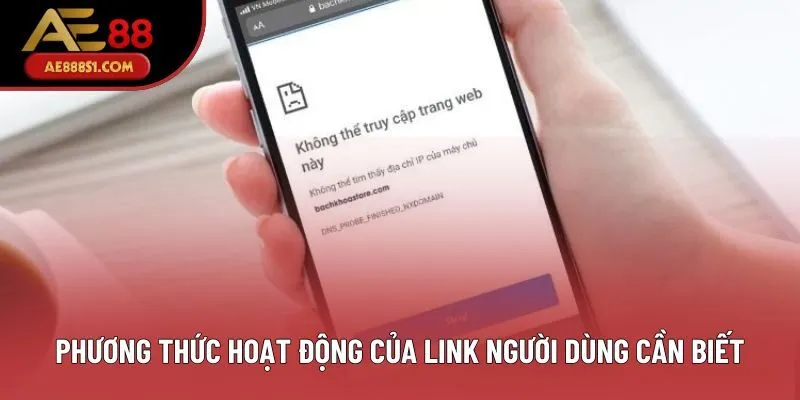 Phương thức hoạt động của link người dùng cần biết
