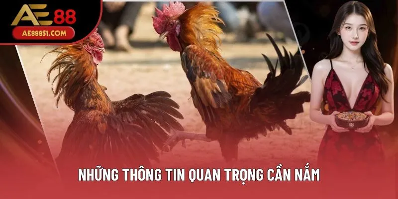 Những thông tin quan trọng cần nắm