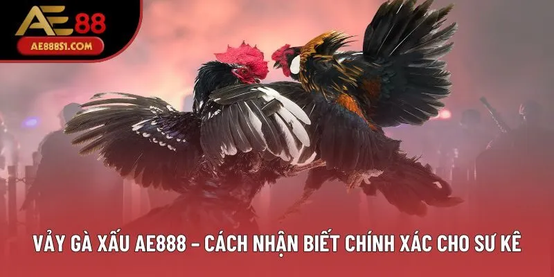 Vảy Gà Xấu - Cách Nhận Biết Chính Xác Dành Cho Sư Kê